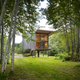 Image for article titled The 10 Best Houses of the Year